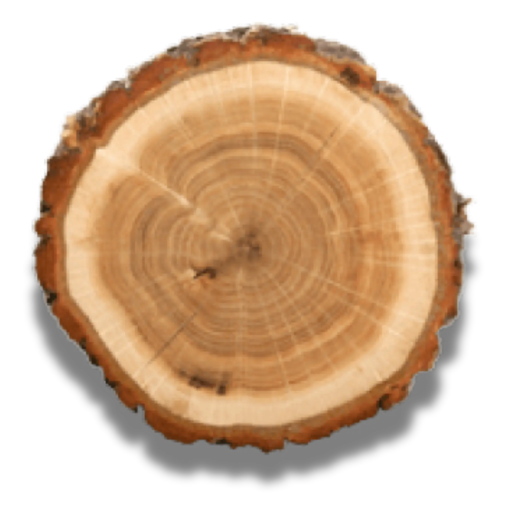 Calliandra wood pellet