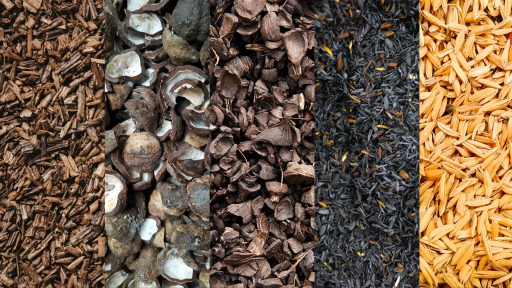 biomass fuel examples