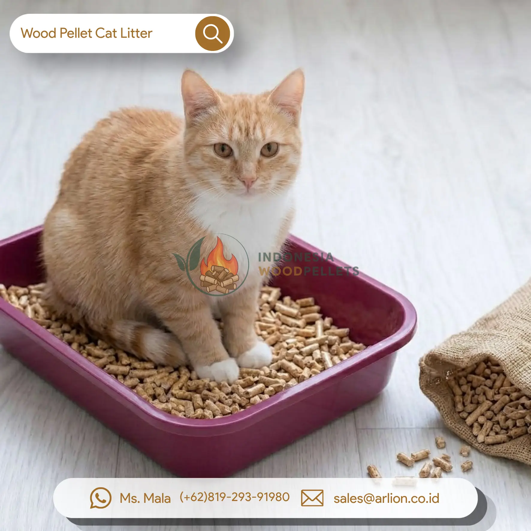 wood pellet cat litter 3 clumping wood cat litter