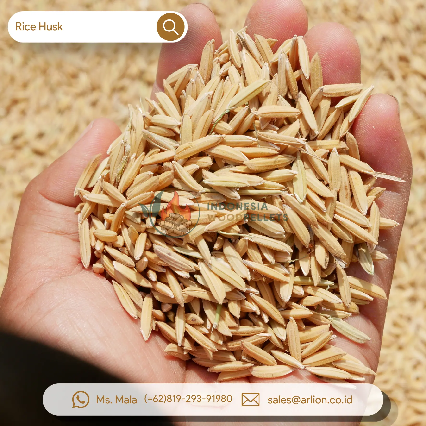 rice husk near me