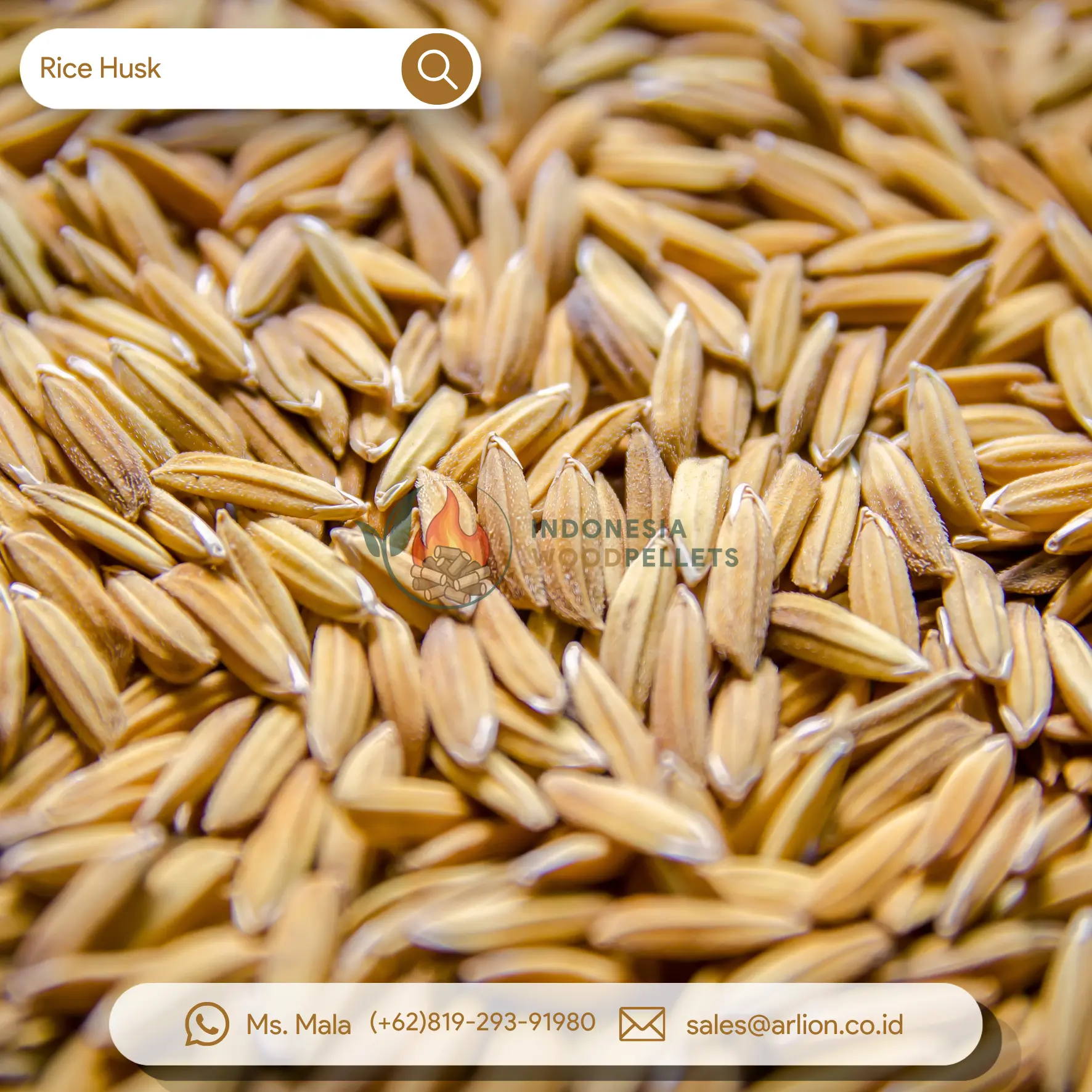 rice husk vs rice hull